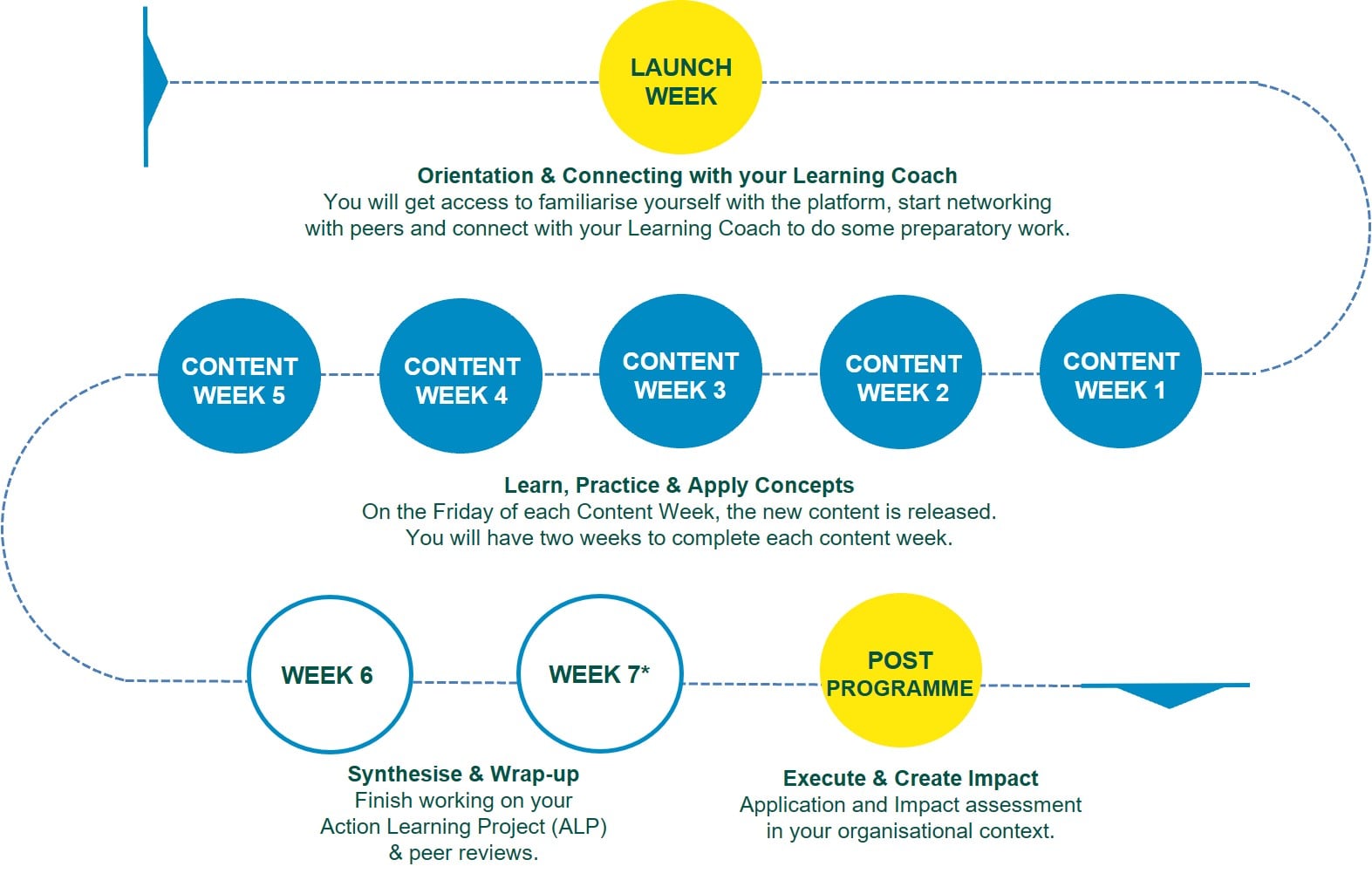 online learning journey