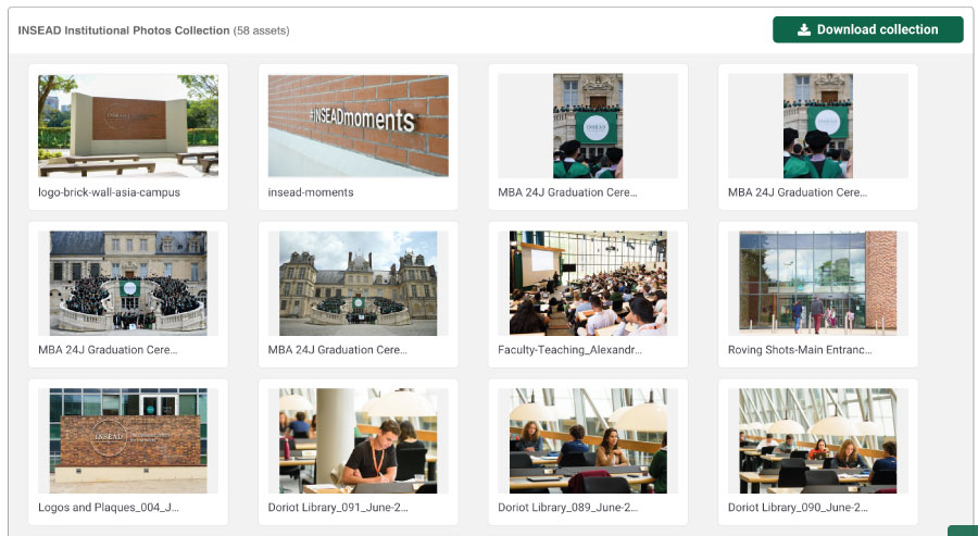 preview brand photography