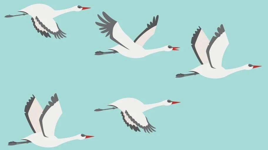 Learning to Lead - Designed for New Managers