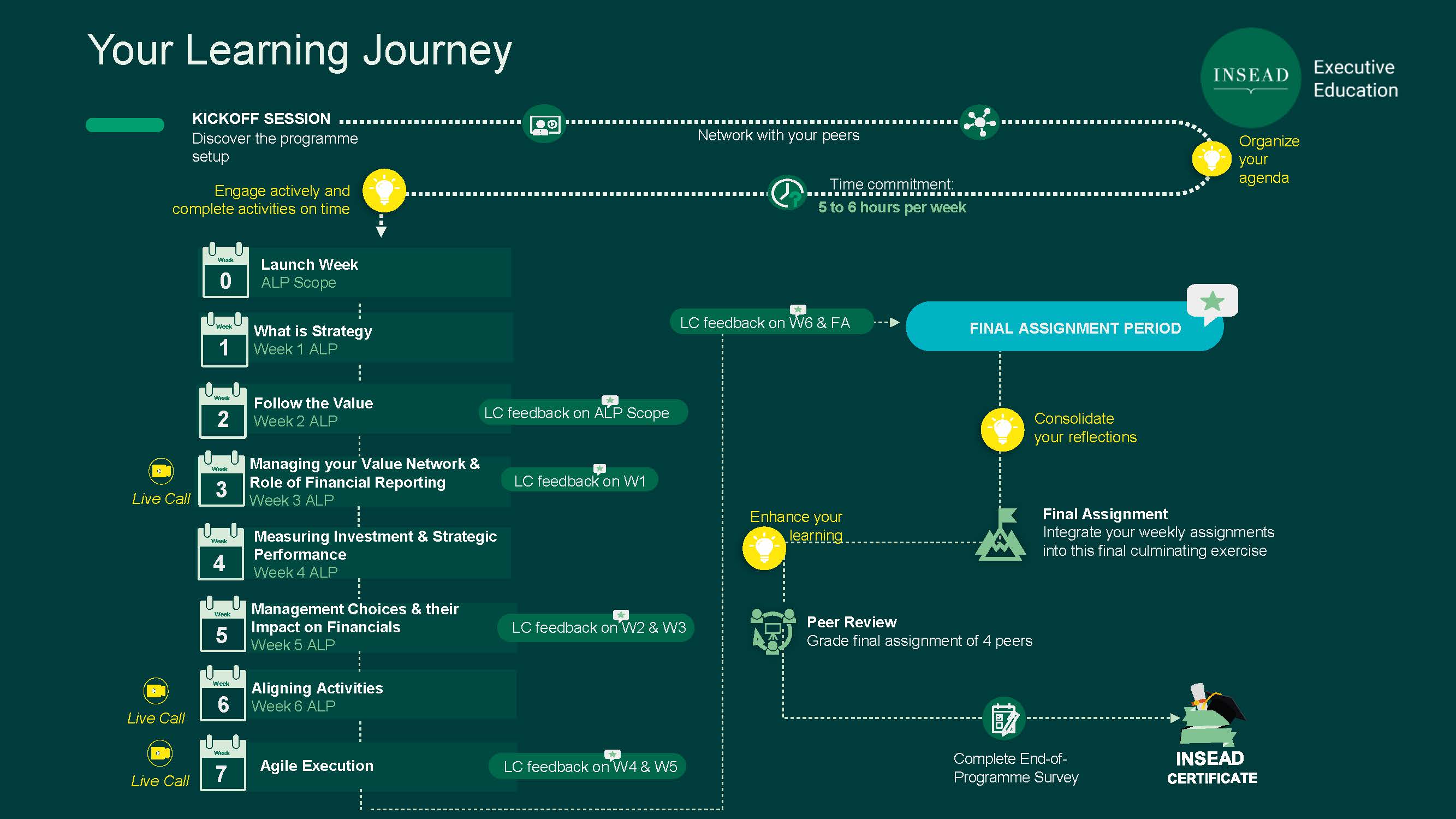 BSFP learning journey