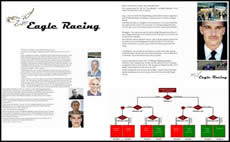 The EagleRacing Simulation - (decision tree) screen shot 