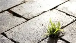 a a