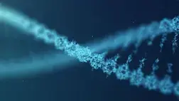 a a