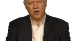 ludo ludo