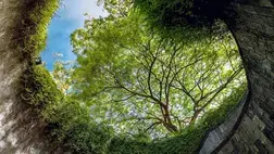 Beliefs and Emotions Shap our Sustainability Journey Beliefs and Emotions Shap our Sustainability Journey