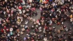 crowd crowd