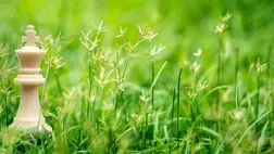 How Leadership Shapes Sustainability Governance How Leadership Shapes Sustainability Governance