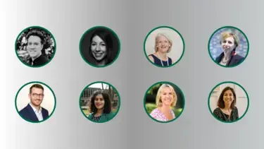 Meet the Team